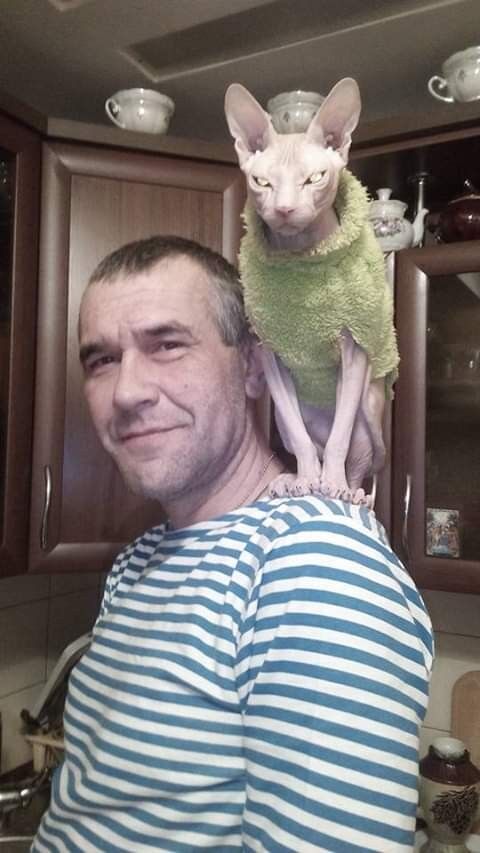 ,   , 55 ,     , c 