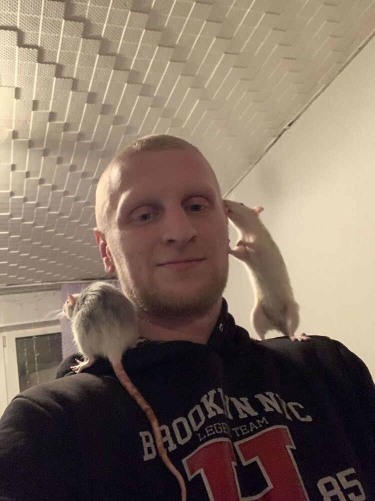 ���� 33392834 ������� �����, 31 ���, ���� ���������� � ����������