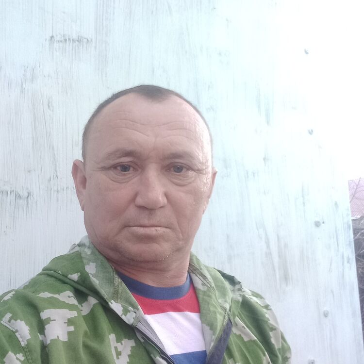  53006174  , 50 ,    