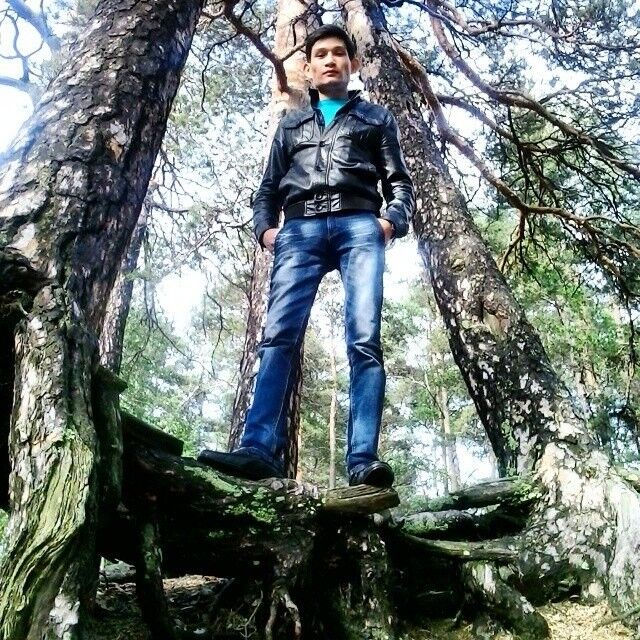  ,   Damir, 34 ,   ,   , c 