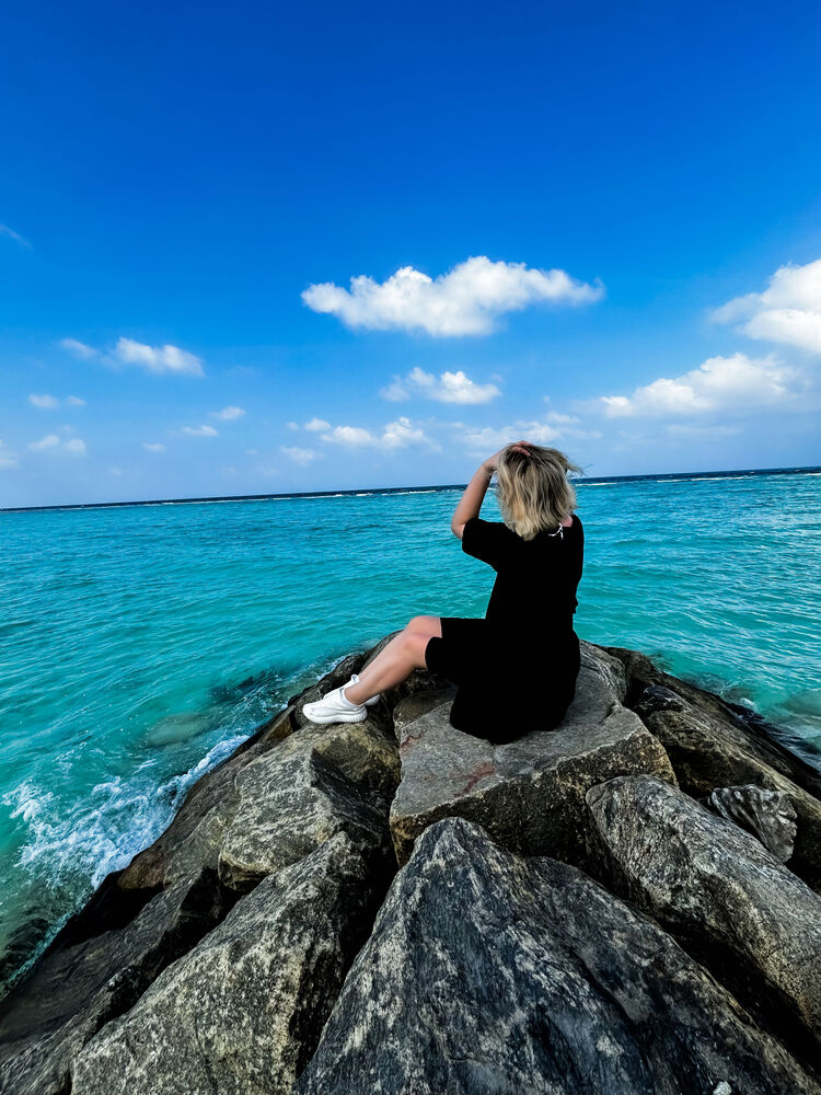 ���������� �����, ���� ������� �������, 29 ���, ������������ ��� ���������