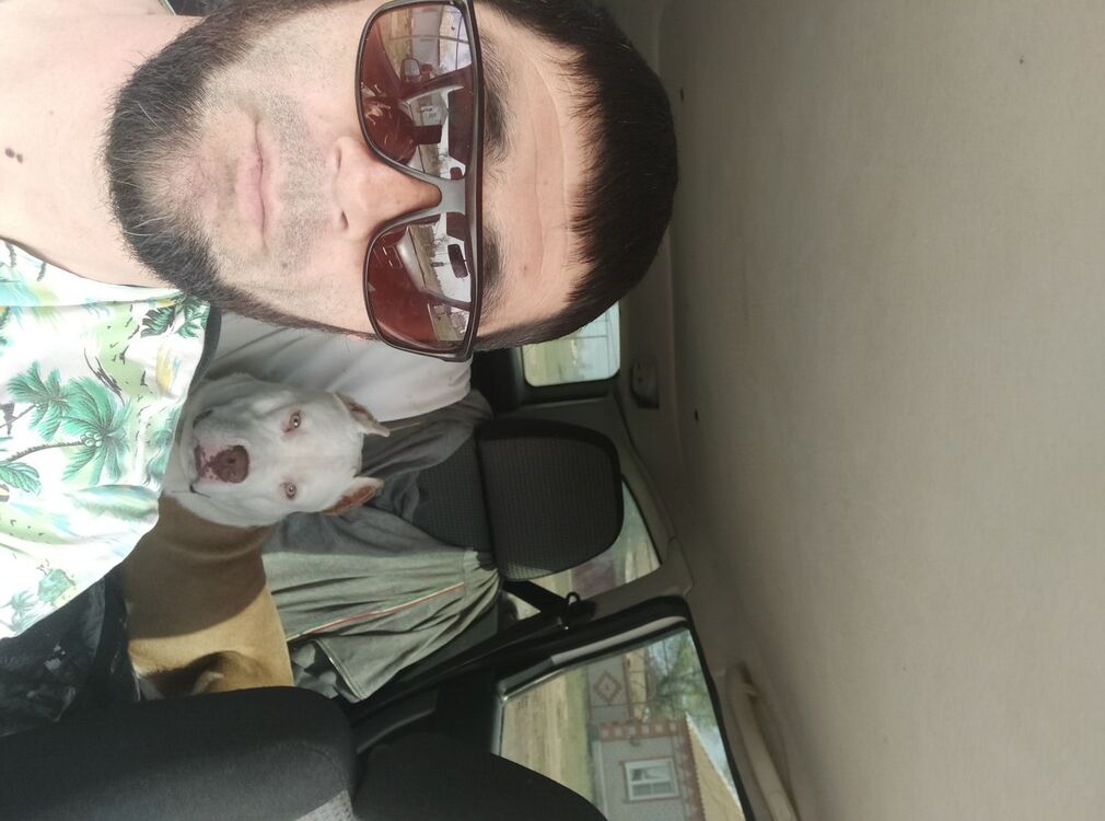  29638654  , 38 ,    