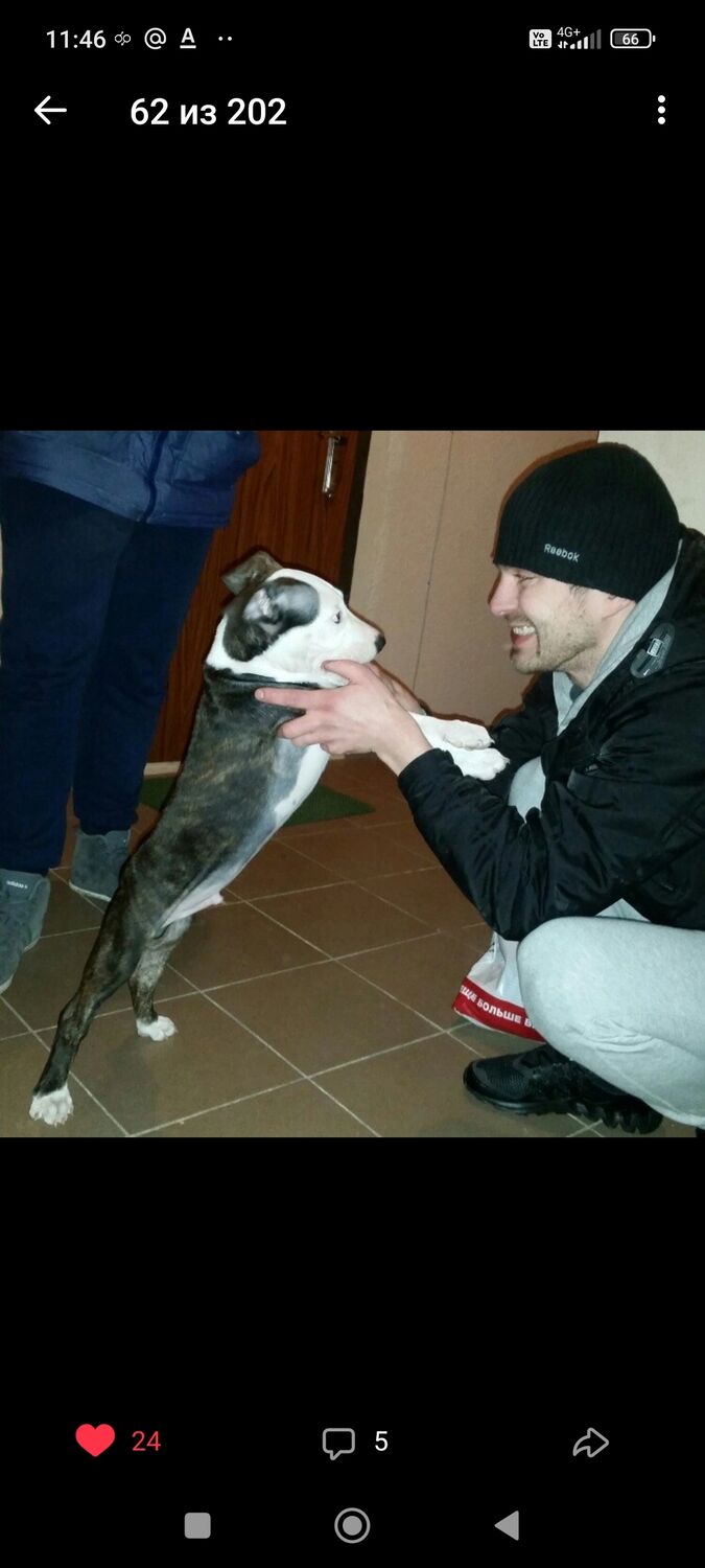 ���������� �����������, ���� ������� ���������, 39 ���, ������������ ��� ������, ����� � ���������