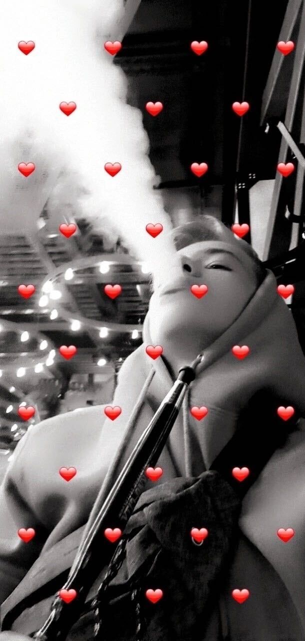  31781344  , 21 ,    -