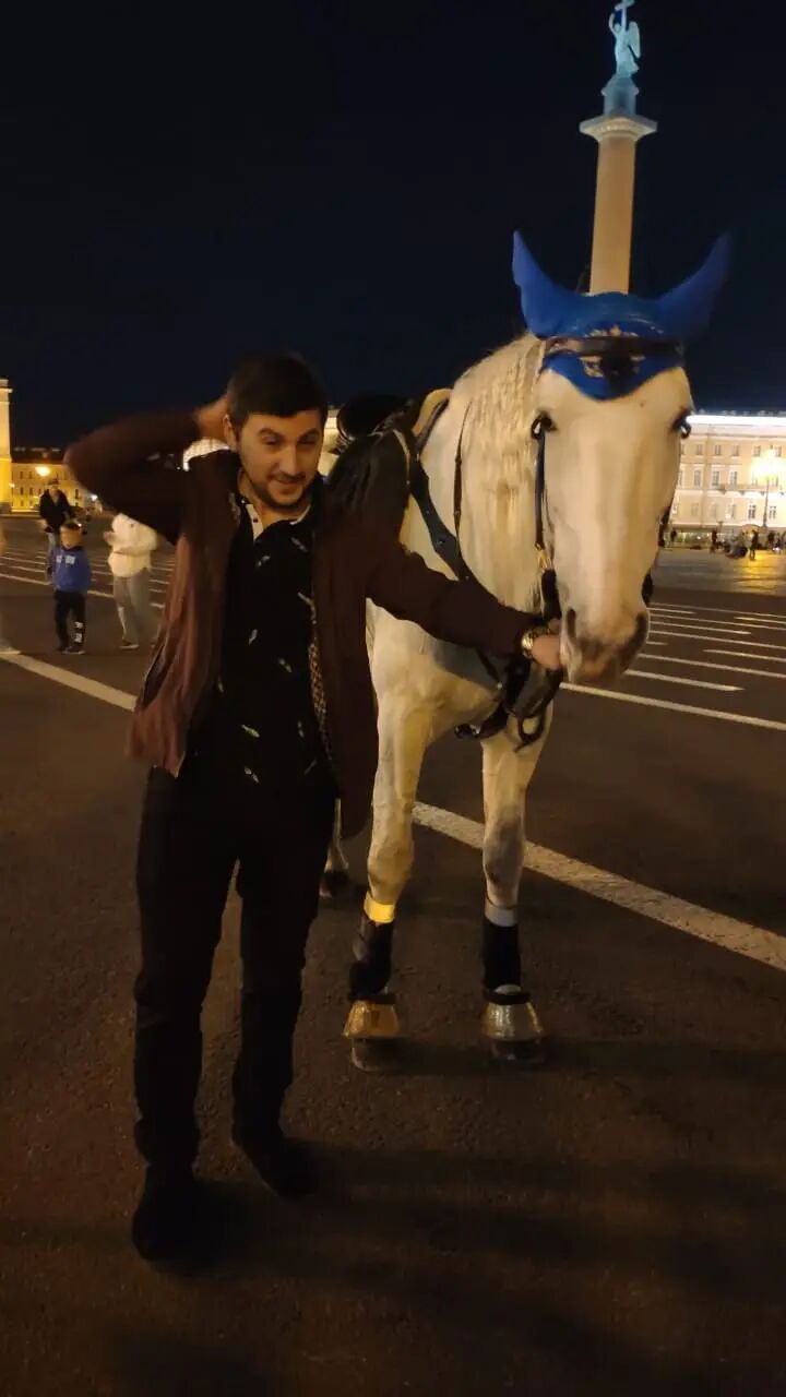  37637794  , 33 ,    -