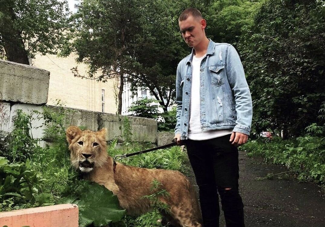 ���������� �����������, ���� ������� ������, 29 ���, ������������ ��� ������, ����� � ���������, c�������� ���������, ���������