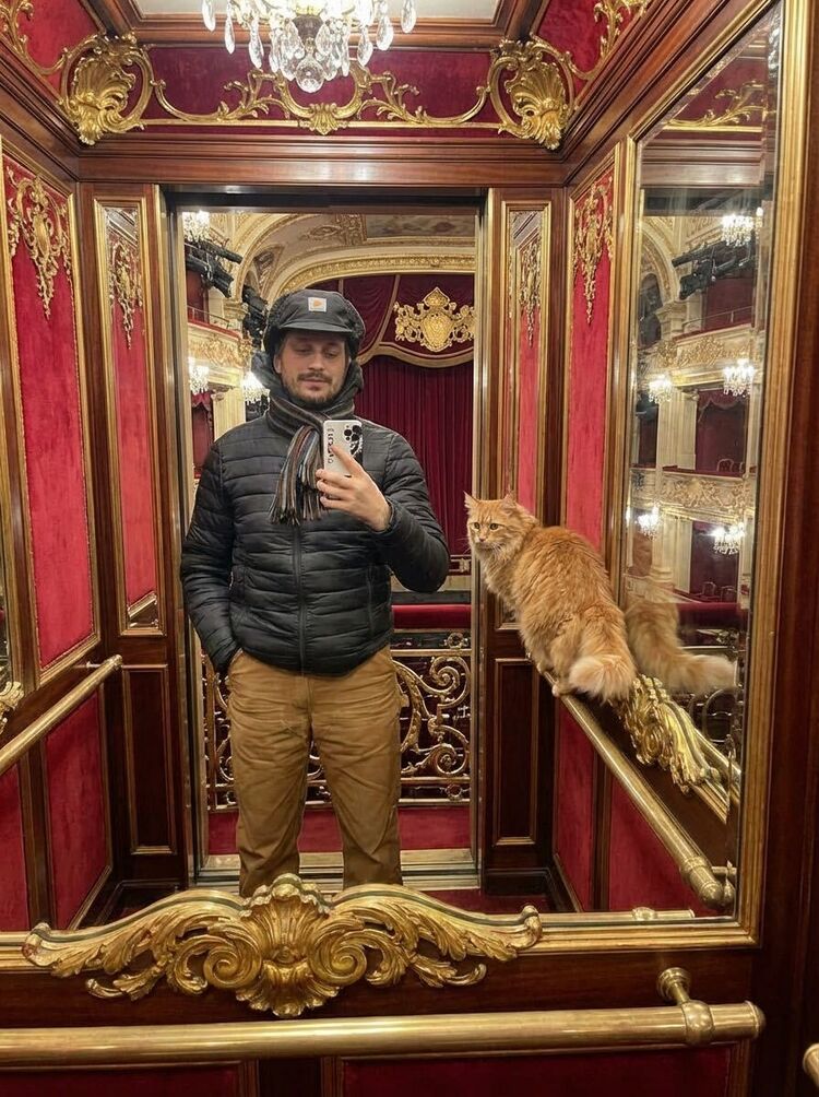 ���� 55668434 ������� ������, 38 ���, ���� ���������� � ������