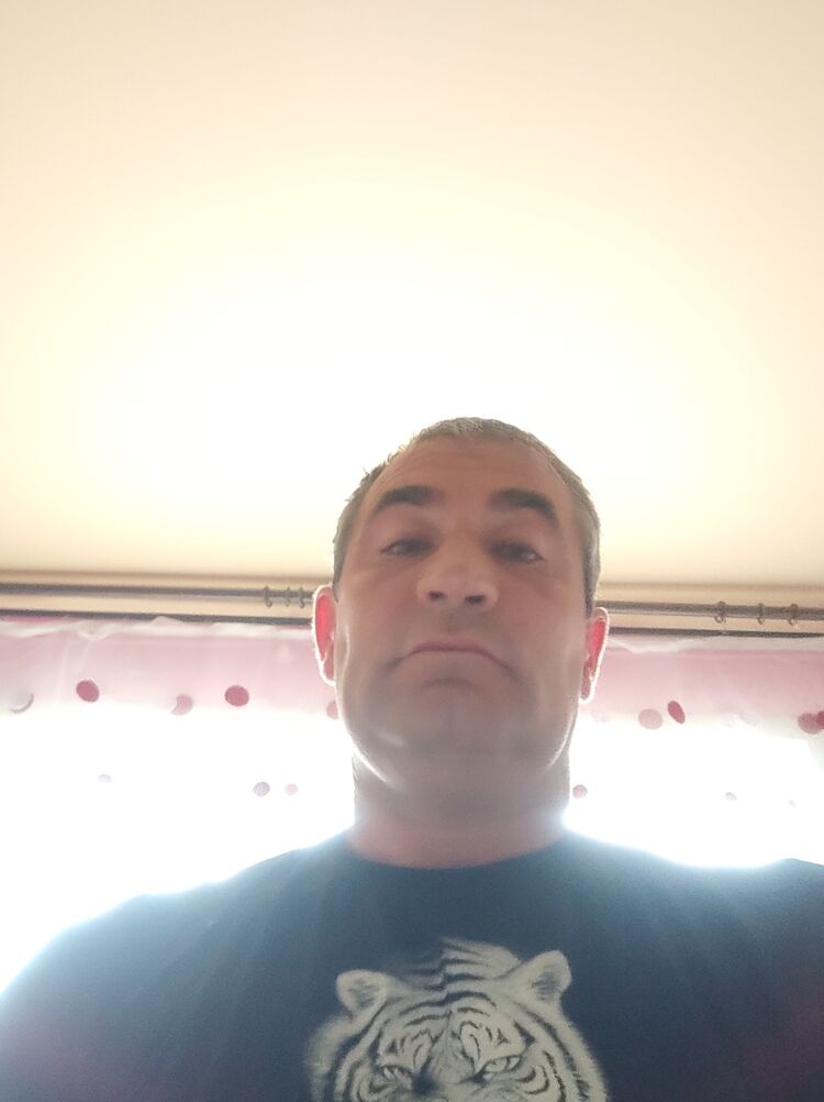  50841364  , 41 ,    
