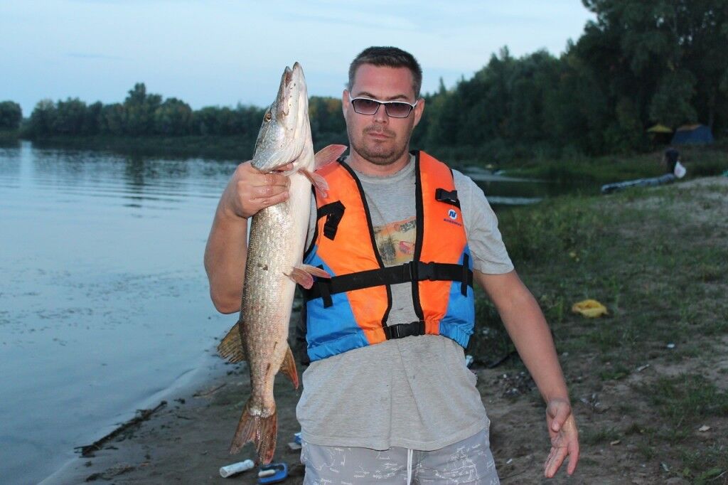  7959854  Evgeny, 51 ,    