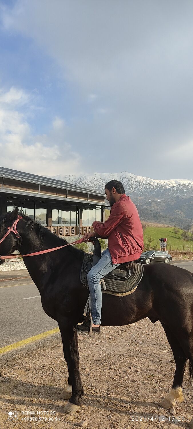 ���� 31810534 ������� �������, 35 ���, ���� ���������� � ��������