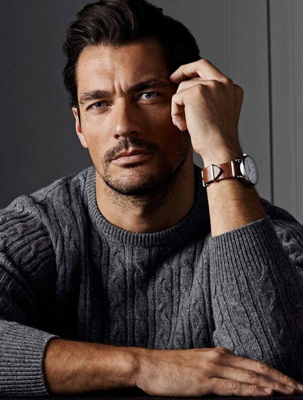 ���� 49358054 ������� ����, 48 ���, ���� ���������� � ����������