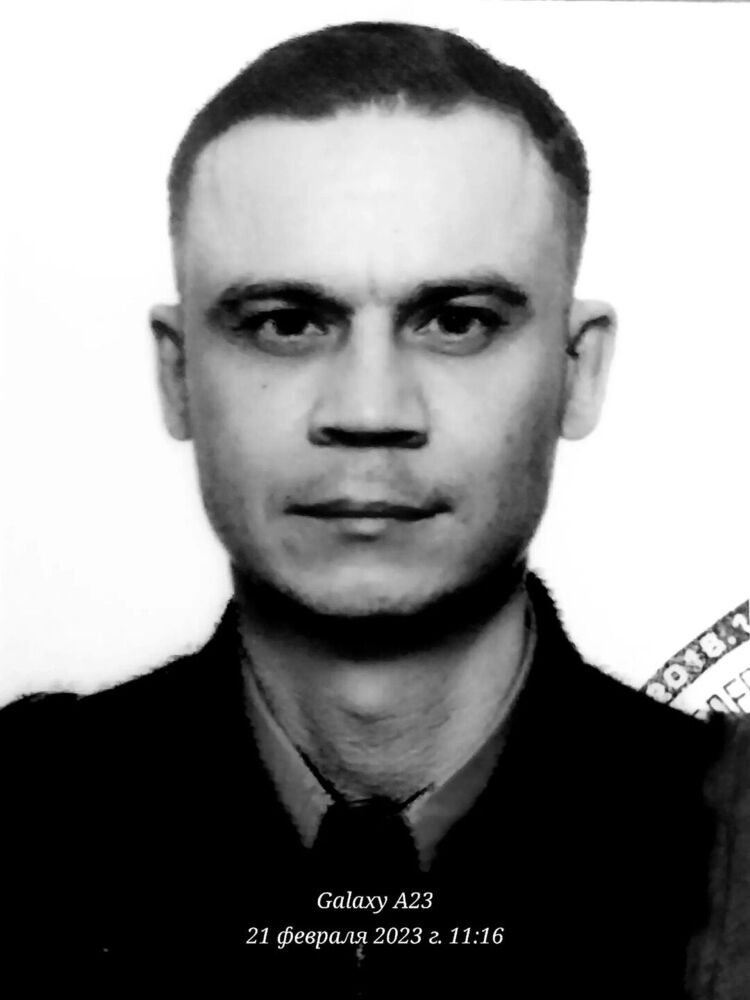  39515834  , 43 ,    