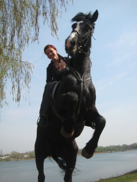 ���������� ���������, ���� ������� ���, 45 ���, ������������ ��� ������, ����� � ���������, c�������� ���������