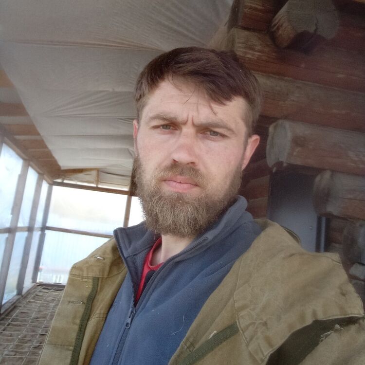 ���� 29603204 ������� �������, 36 ���, ���� ���������� � ����