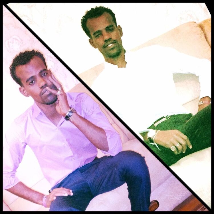 ���� 4095304 ������� Alhade, 38 ���, ���� ���������� � �������