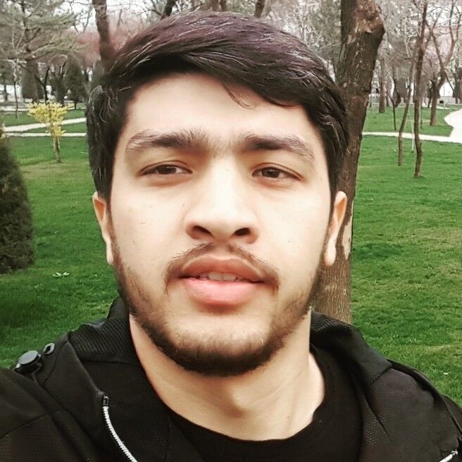 ���� 16723344 ������� ����, 33 ����, ���� ���������� � ������