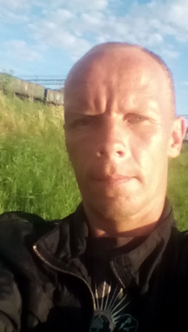  31615664  , 41 ,    