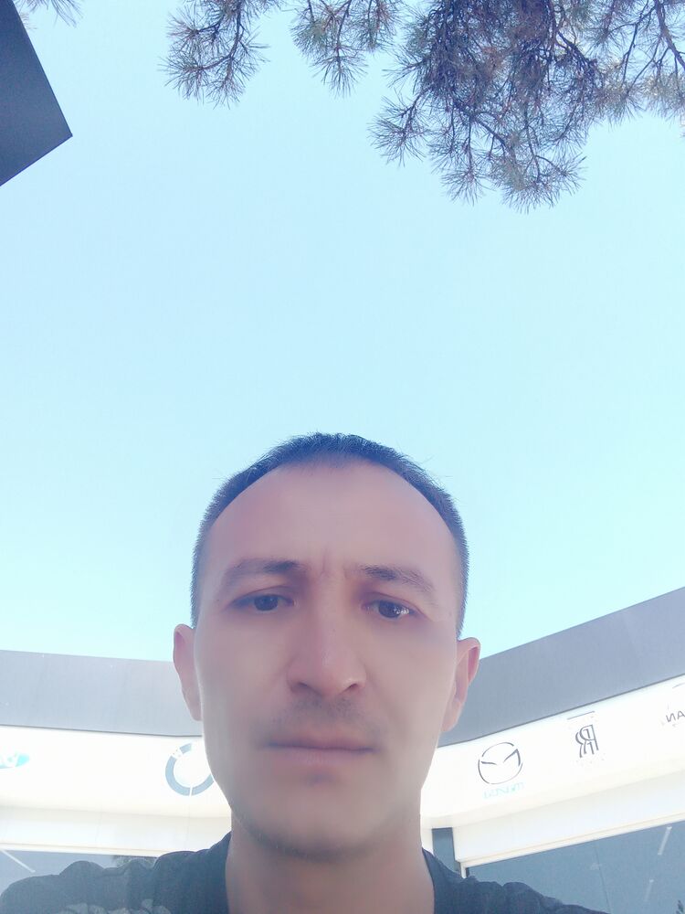 ���������� �������, ���� ������� Anvar, 45 ���, ������������ ��� ���������