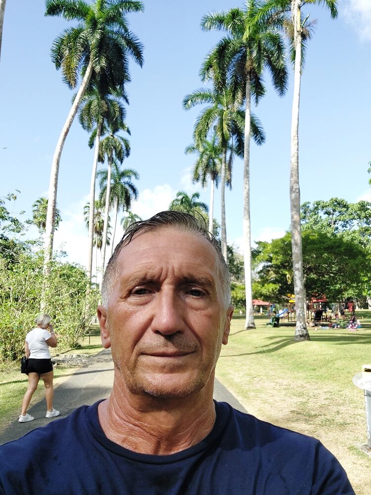  53836224  Gudvin, 55 ,    -