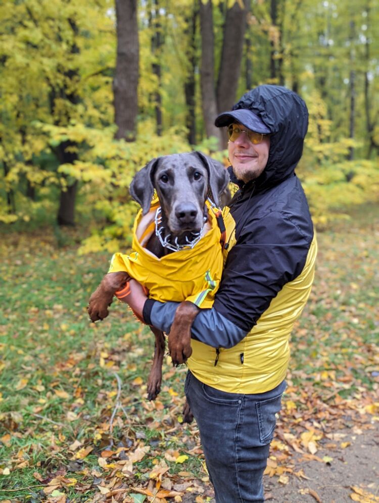 ���������� �����, ���� ������� ���������, 29 ���, ������������ ��� ������, ����� � ���������