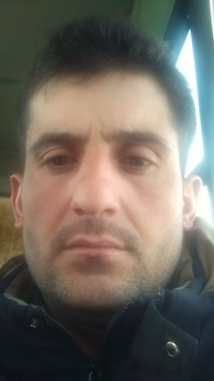 33808984  , 33 ,    