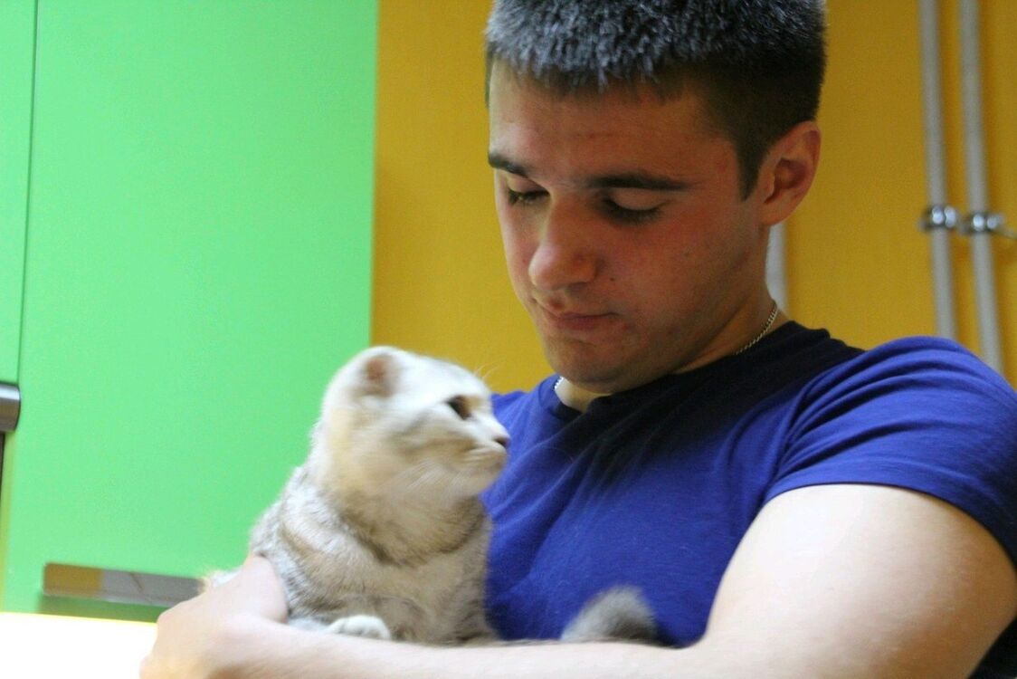 ���� 12649654 ������� �����, 36 ���, ���� ���������� � ��������