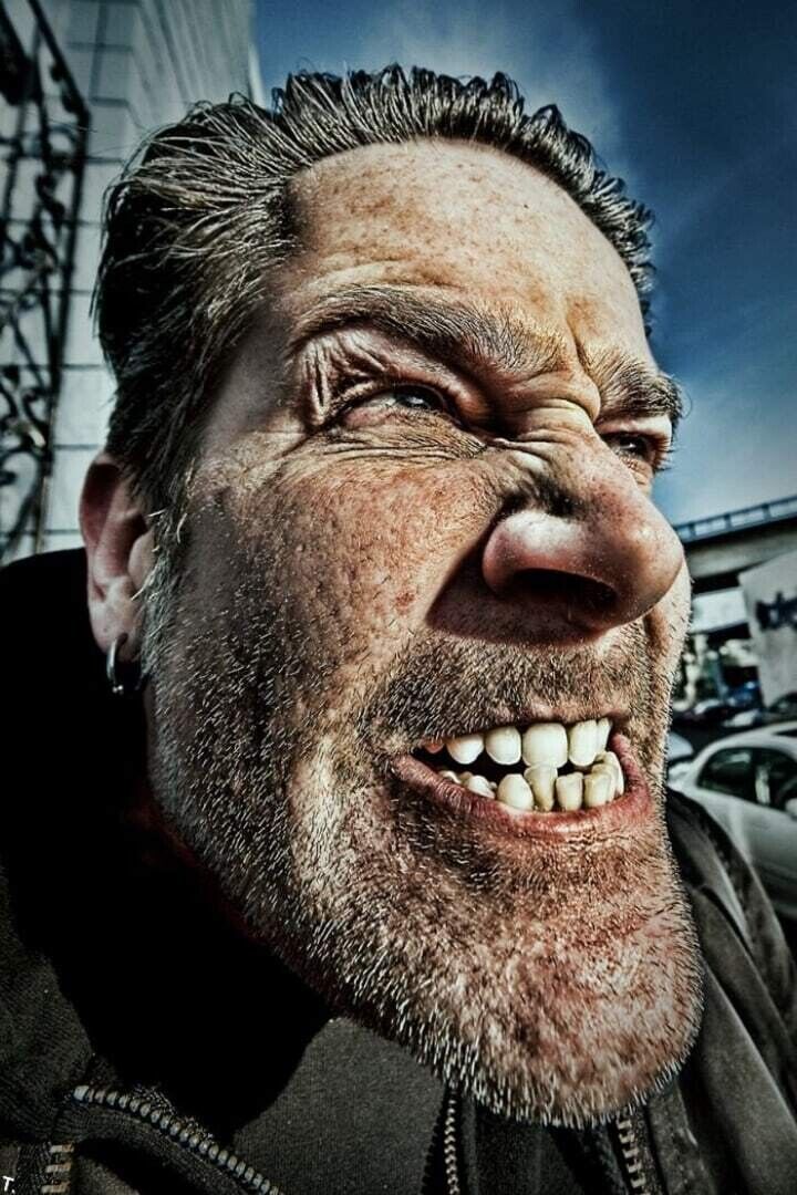 ���� 21333594 ������� ���, 44 ����, ���� ���������� � ������