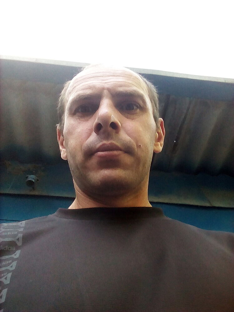  21146704  , 43 ,    