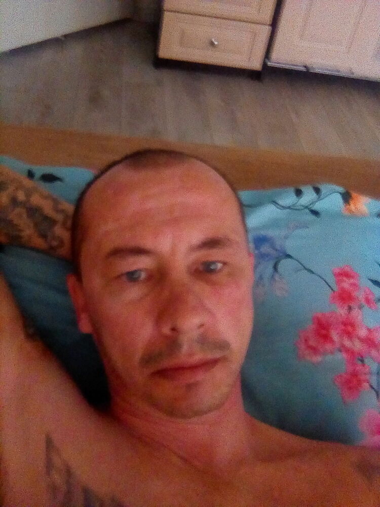  16043354  , 49 ,    