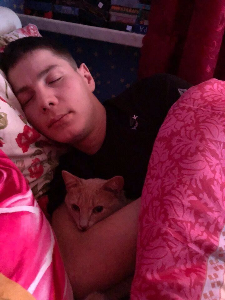 ���������� ������, ���� ������� ���������, 32 ����, ������������ ��� ������, ����� � ���������