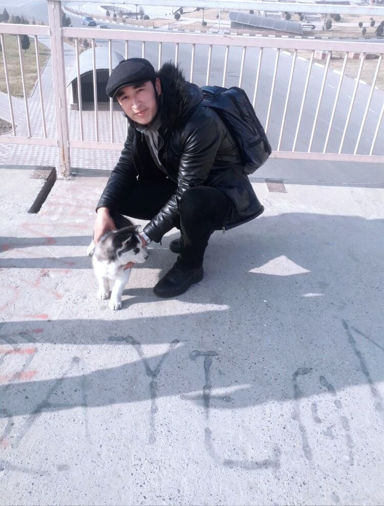 ���� 53343054 ����� ����, 24 ����, ���� ���������� � ��������