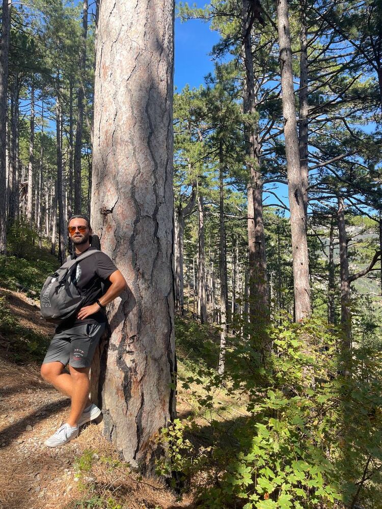 ���������� �����������, ���� ������� ����, 35 ���, ������������ ��� ������, ����� � ���������, c�������� ���������