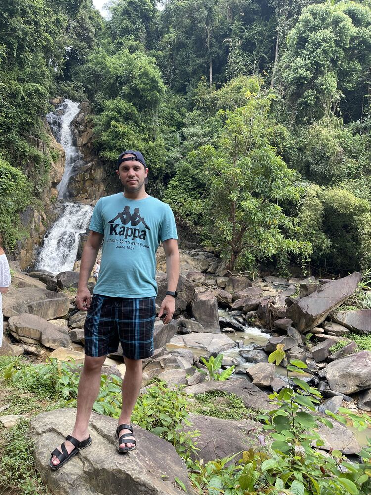  31341904  , 42 ,    -