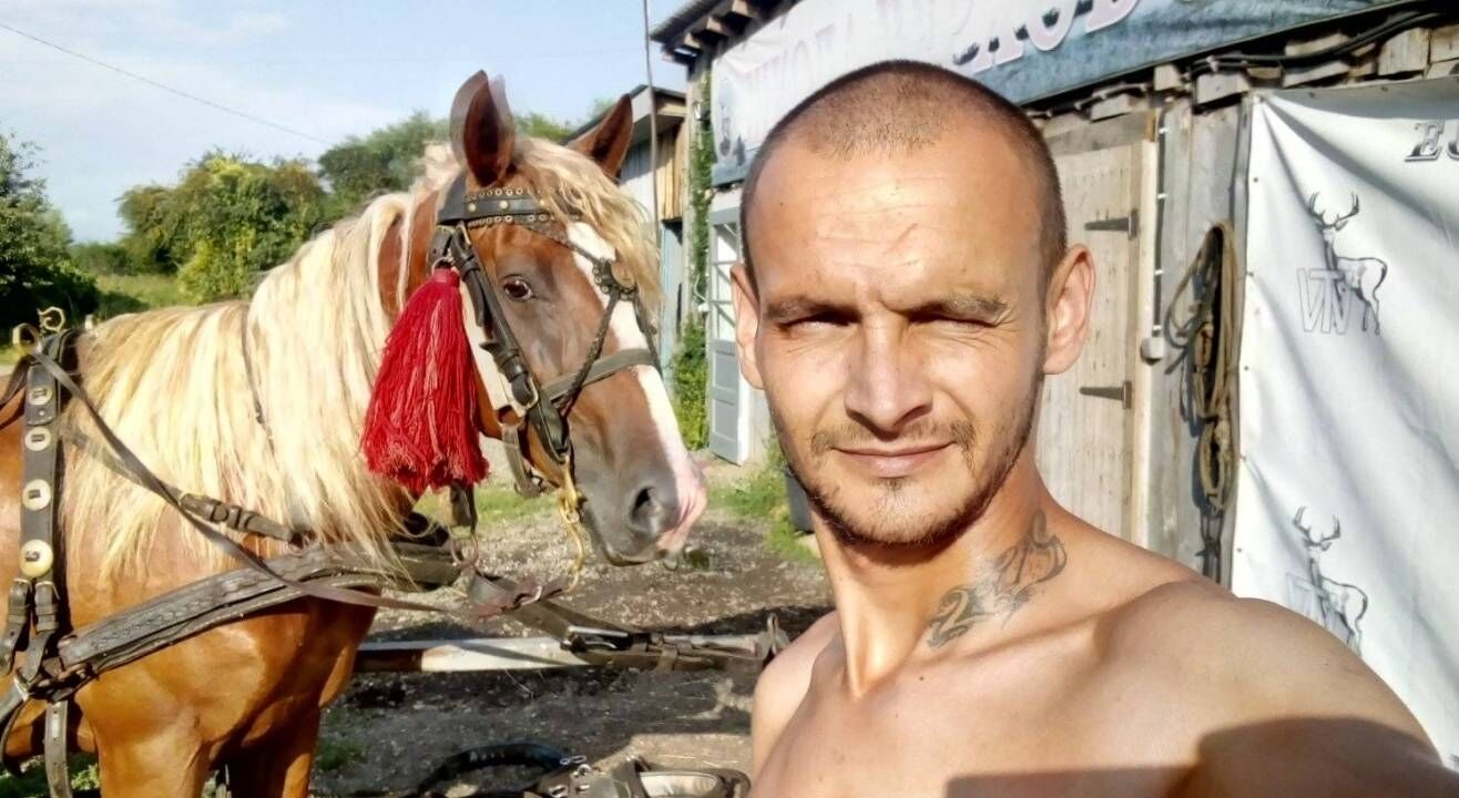  24316254  , 33 ,    