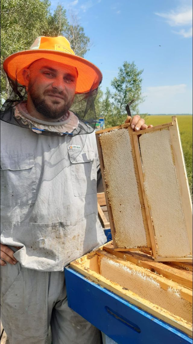  29883844  Vadim, 29 ,    