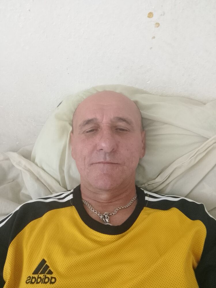  43004804  , 56 ,    