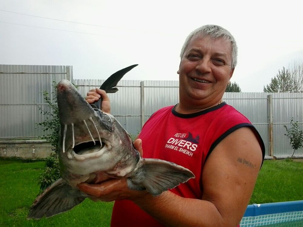 ���� 9392174 ������� ������, 61 ���, ���� ���������� � ����������