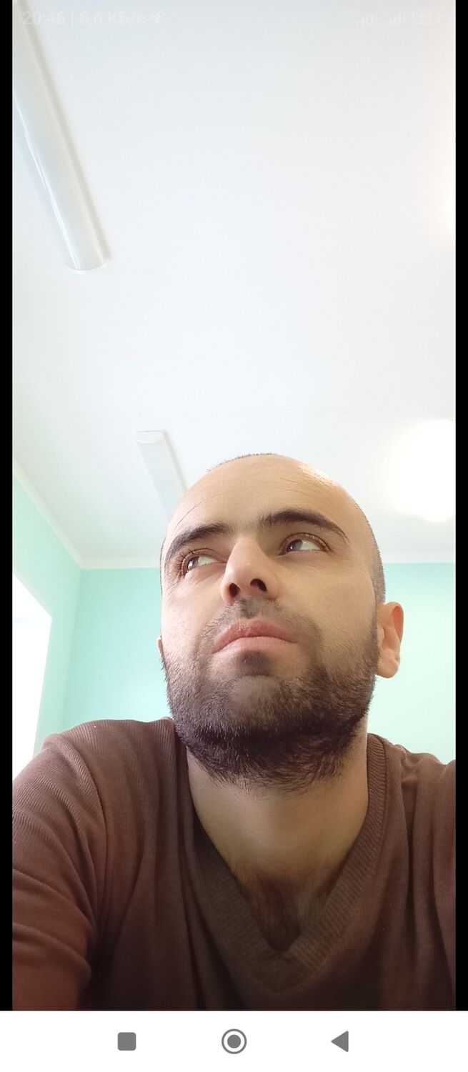  46536164  , 38 ,    