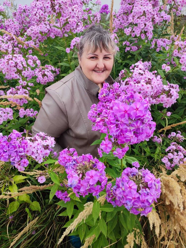  53704814  , 51 ,    -