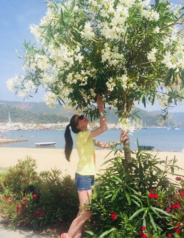 ���� 17566424 ������� �����, 39 ���, ���� ���������� � �������������