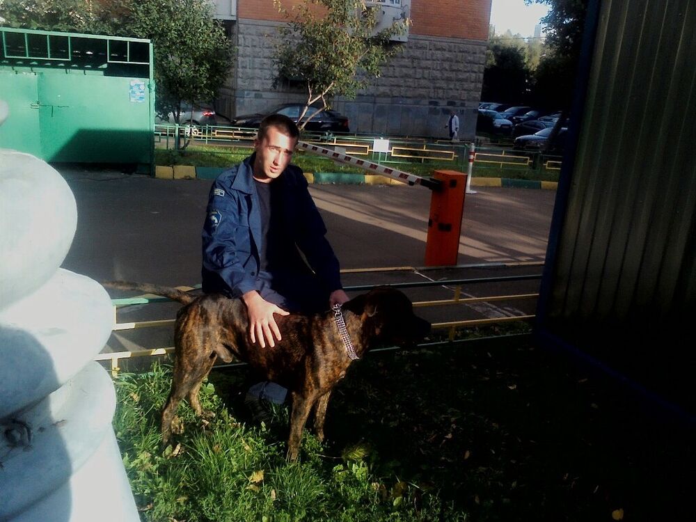 ���� 7436434 ������� ������, 35 ���, ���� ���������� � �������