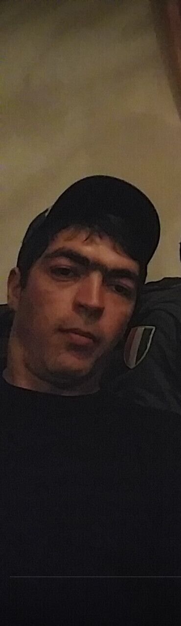  46395794  , 31 ,    