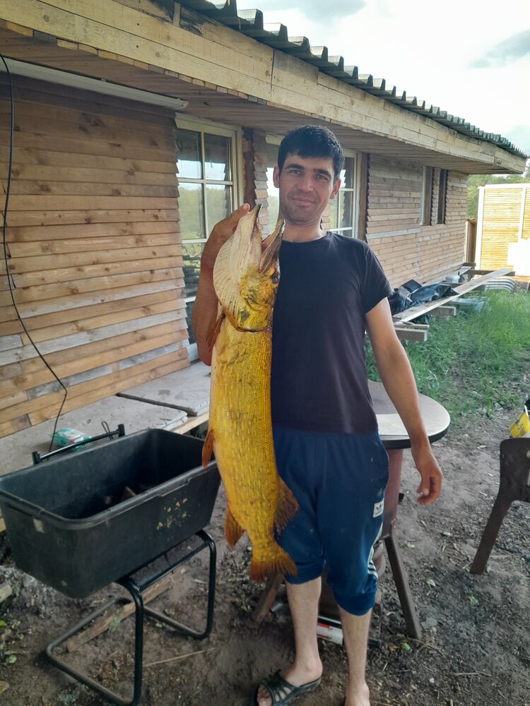  -,   , 29 ,   ,   