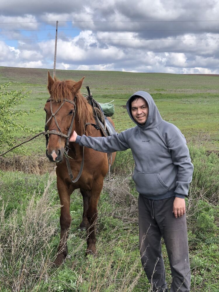 ���� 54969594 ������� ������, 36 ���, ���� ���������� � ���������