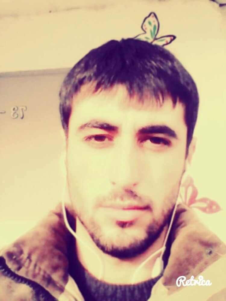  9537644  , 29 ,    