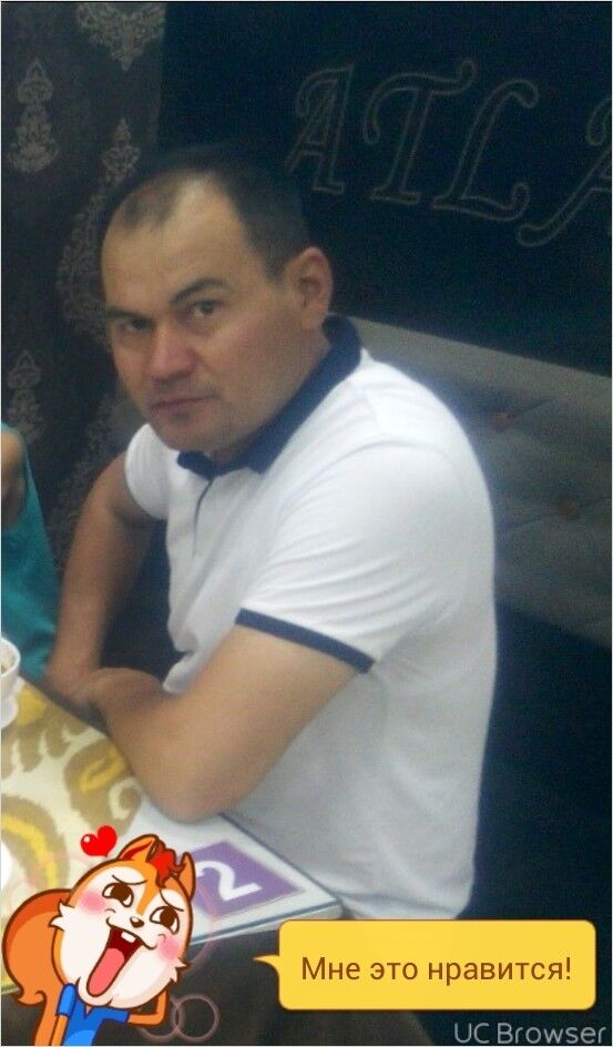 ���� 12981224 ������� ������, 44 ����, ���� ���������� � �������