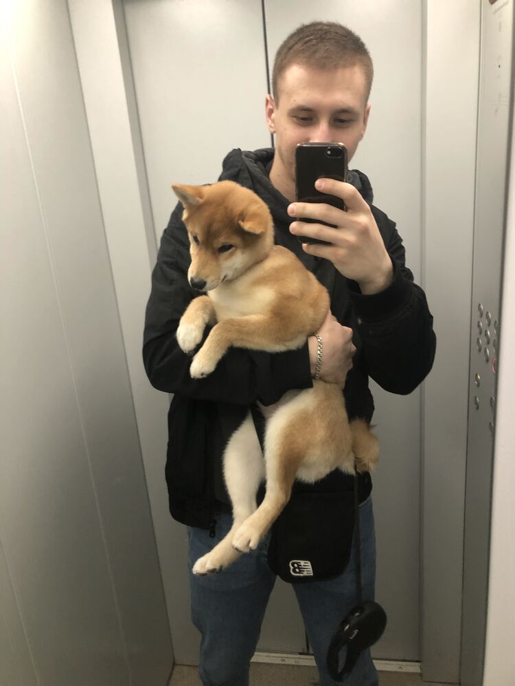  --,   , 24 ,   ,   , 