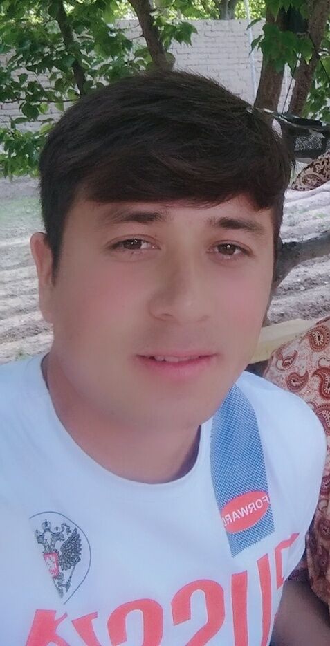  33335684  , 27 ,    