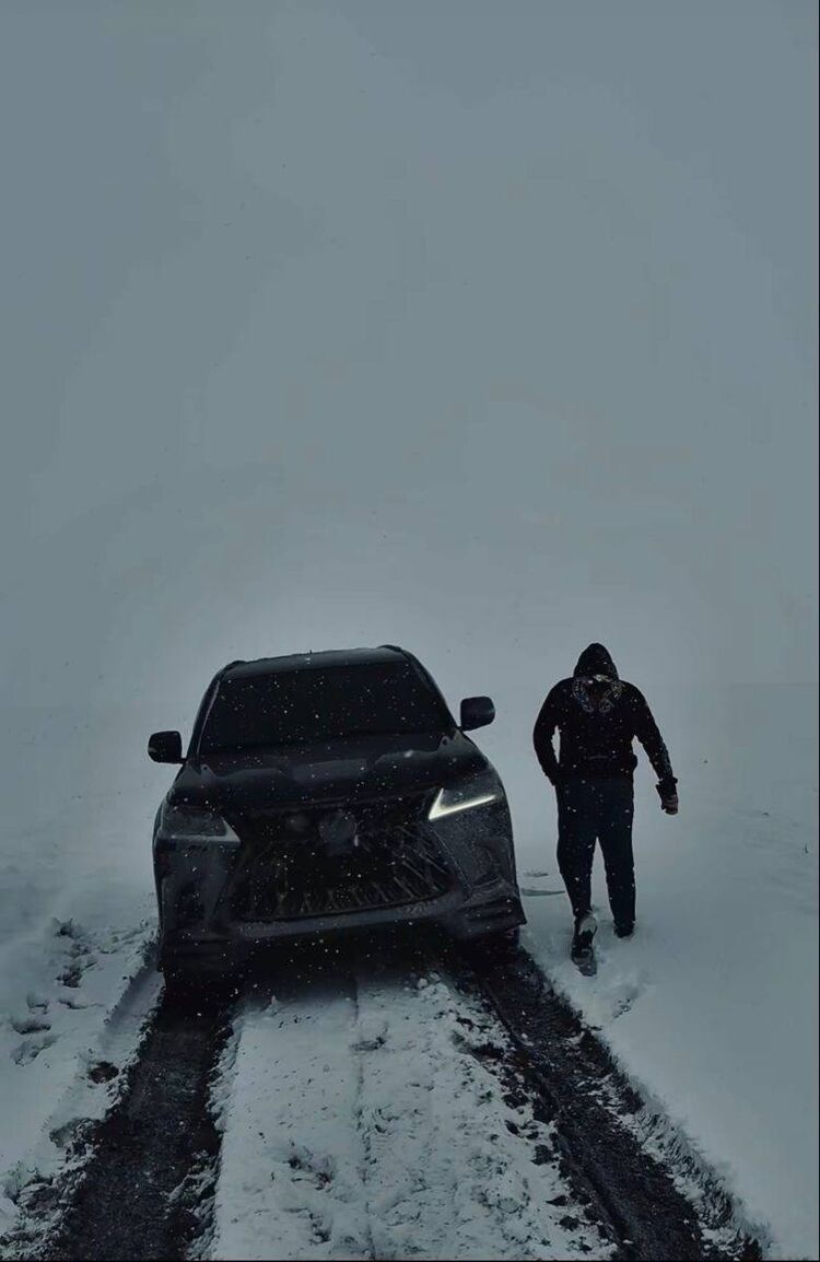 ���� 55849294 ����� ������, 22 ����, ���� ���������� � �������