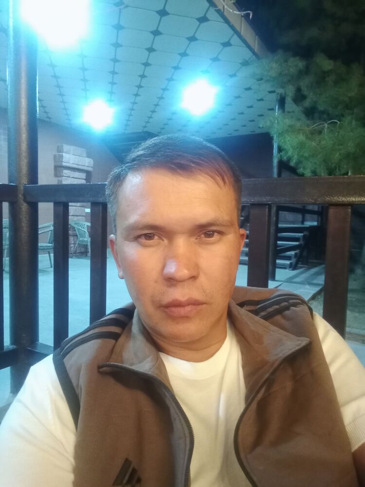 ���� 55151904 ������� ����, 36 ���, ���� ���������� � ������